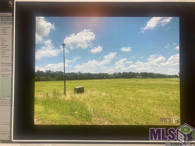 Lot 12 Lower C C Road Clinton, LA 70722 - Photo 4 of 4