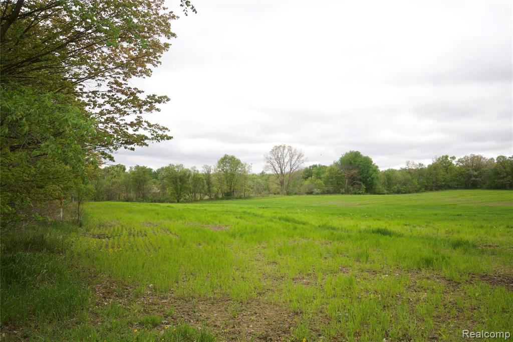 0 Iosco Road Webberville, MI 48836 - Photo 4 of 9