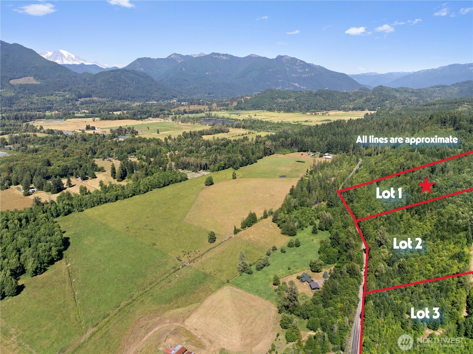 1 Skinner Road Randle, WA 98377 - Photo 21 of 36 a view of a lake and a mountain