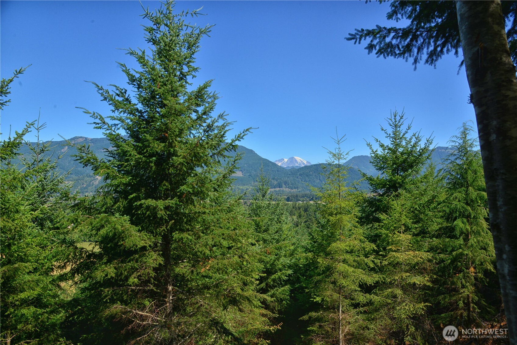 1 Skinner Road Randle, WA 98377 - Photo 6 of 36