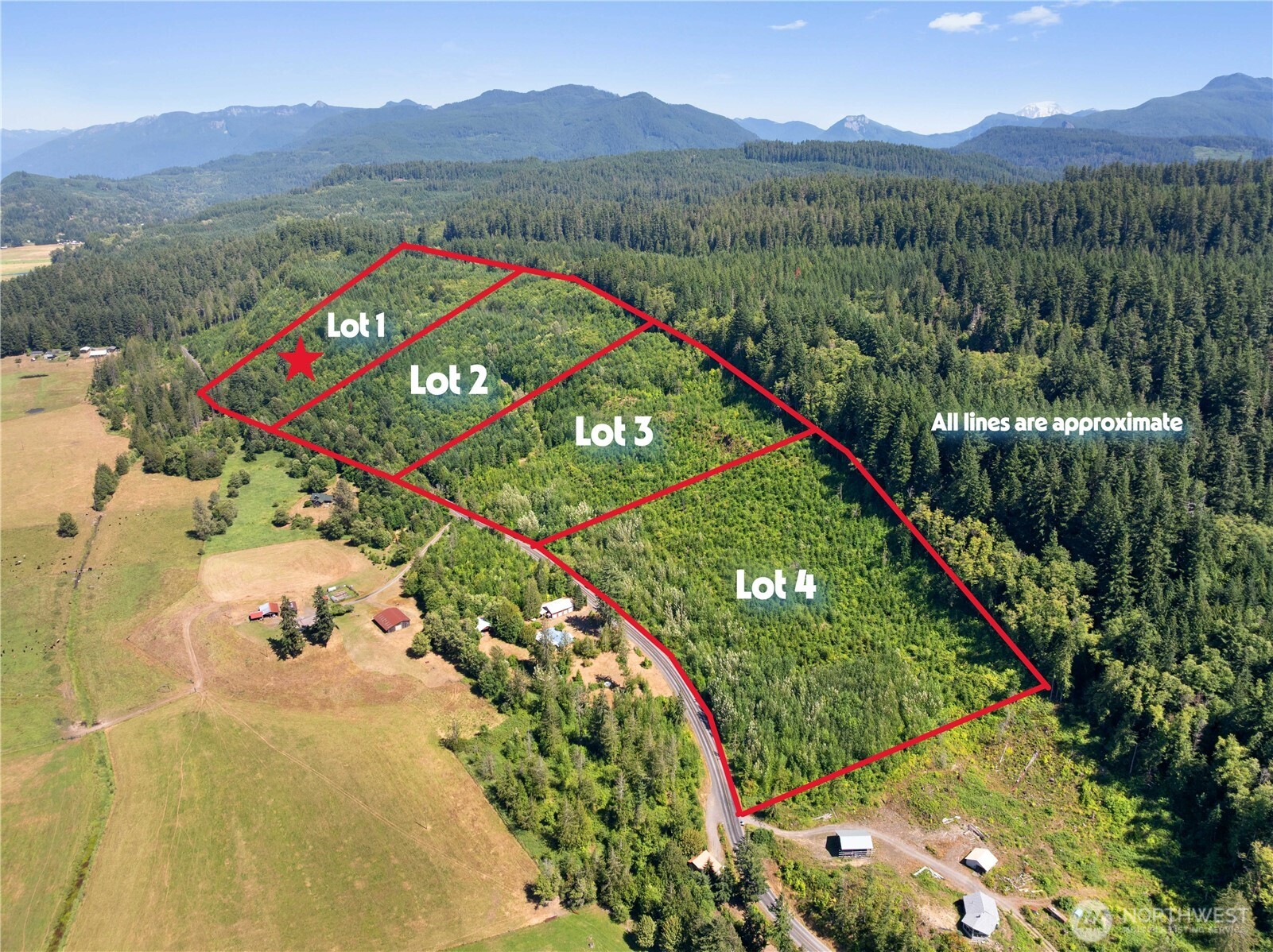 1 Skinner Road Randle, WA 98377 - Photo 7 of 36 a view of a lush green hillside and a houses