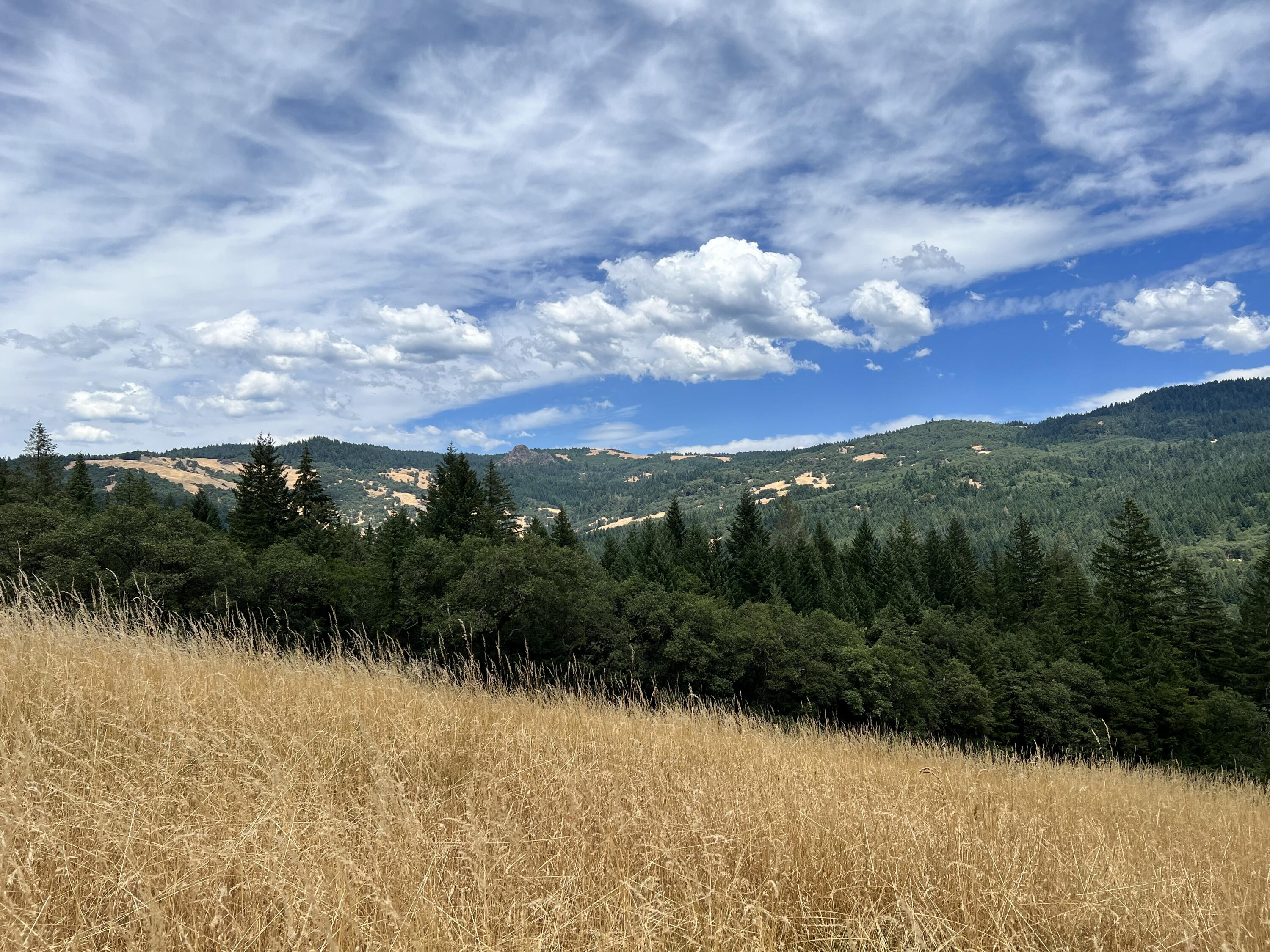 0 Stapp Road Kneeland, CA 95549 - Photo 12 of 13