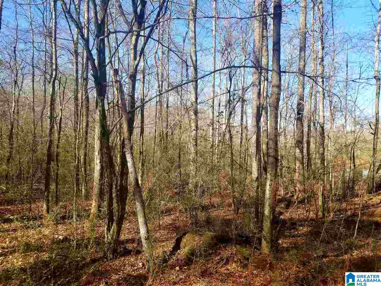 11640 Bear Creek Road Vandiver, AL 35176 - Photo 6 of 10