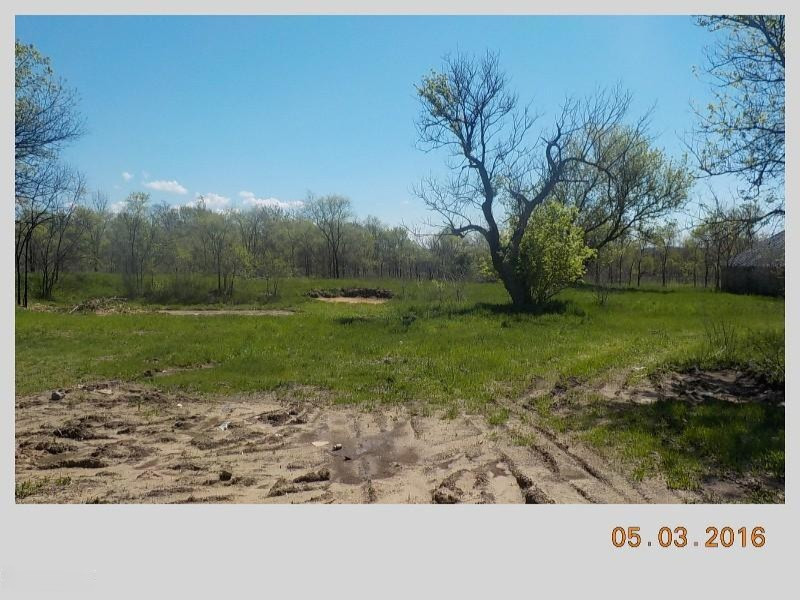 78051 39th Street Decatur, MI 49045 - Photo 5 of 6 38th view of land