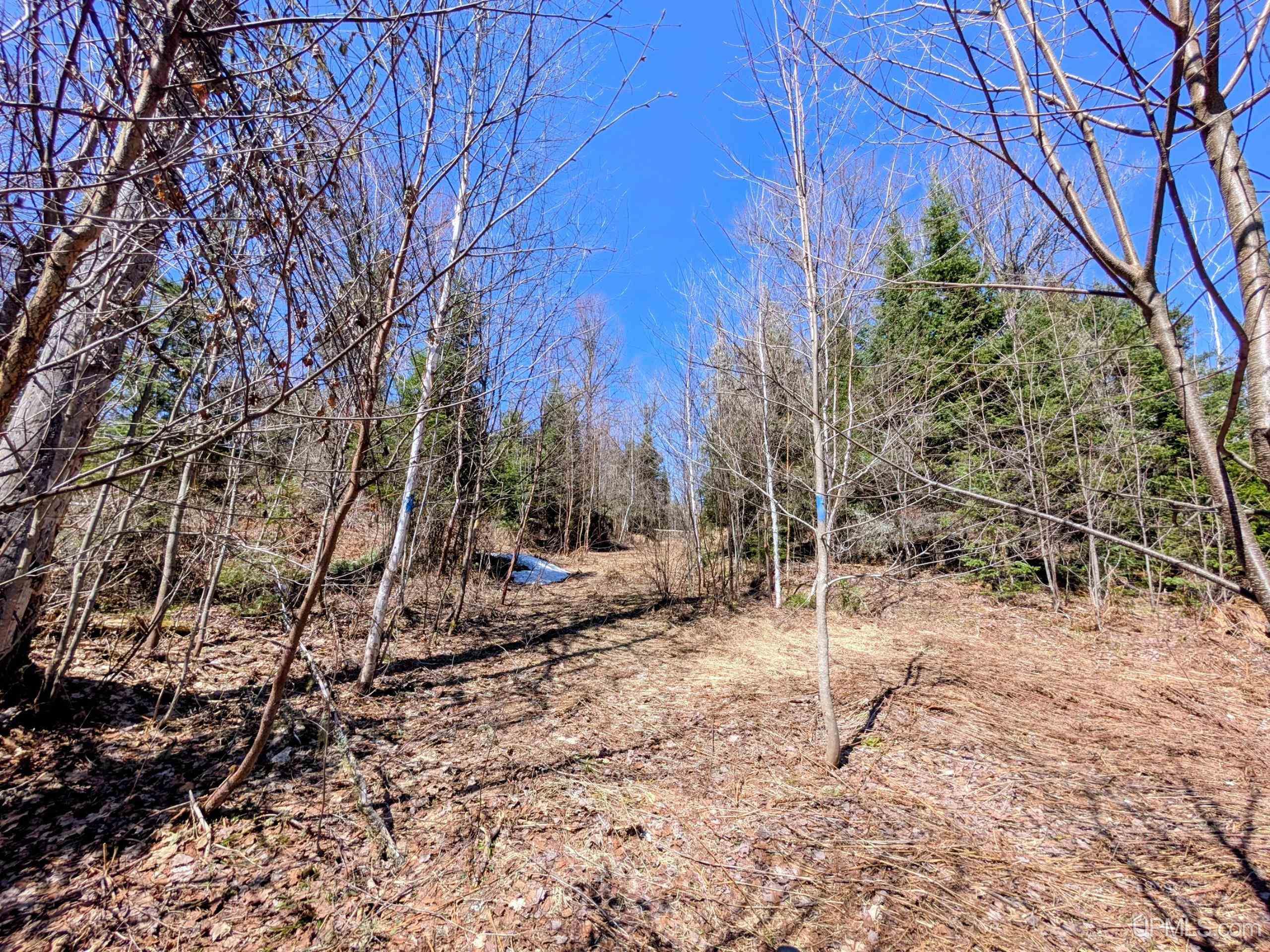 8-acres East Cable Lake Road Crystal Falls, MI 49920 - Photo 15 of 20