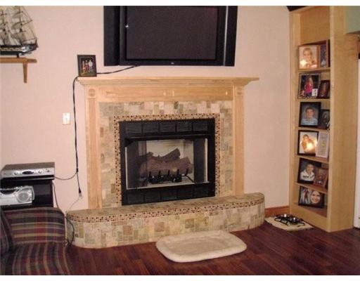 117 Ajit Road Friedens, PA 15541 - Photo 10 of 18 Other. Fireplace