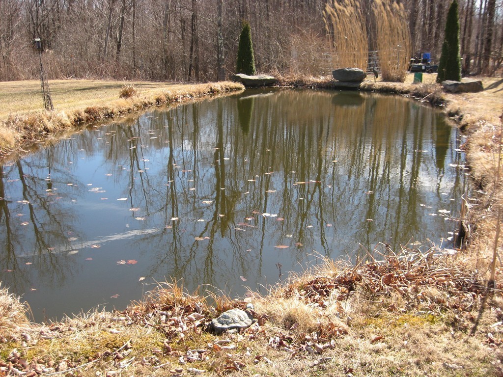 1641 Main Road Granville, MA 01034 - Photo 9 of 29 a view of swimming pool with outdoor seating