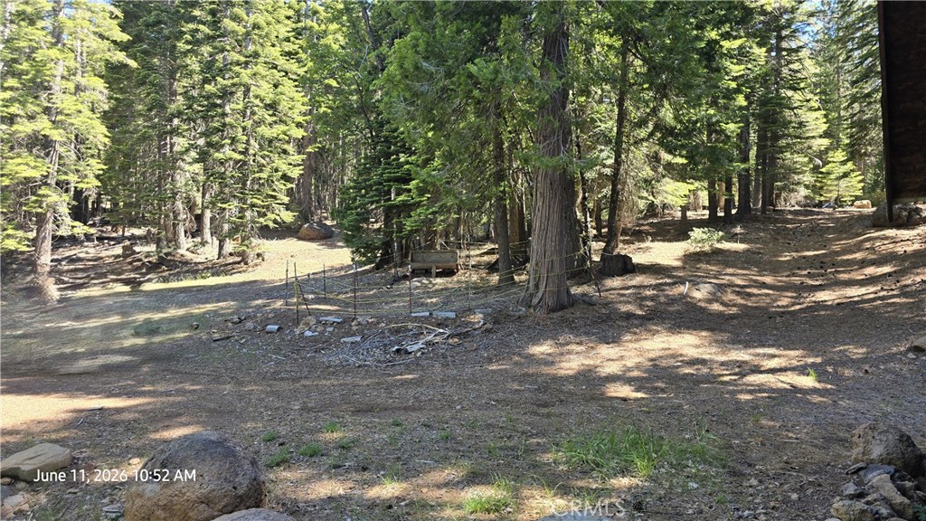 0 Fish Creek Forest Ranch, CA 95942 - Photo 27 of 43 Driveway looking to horse pen