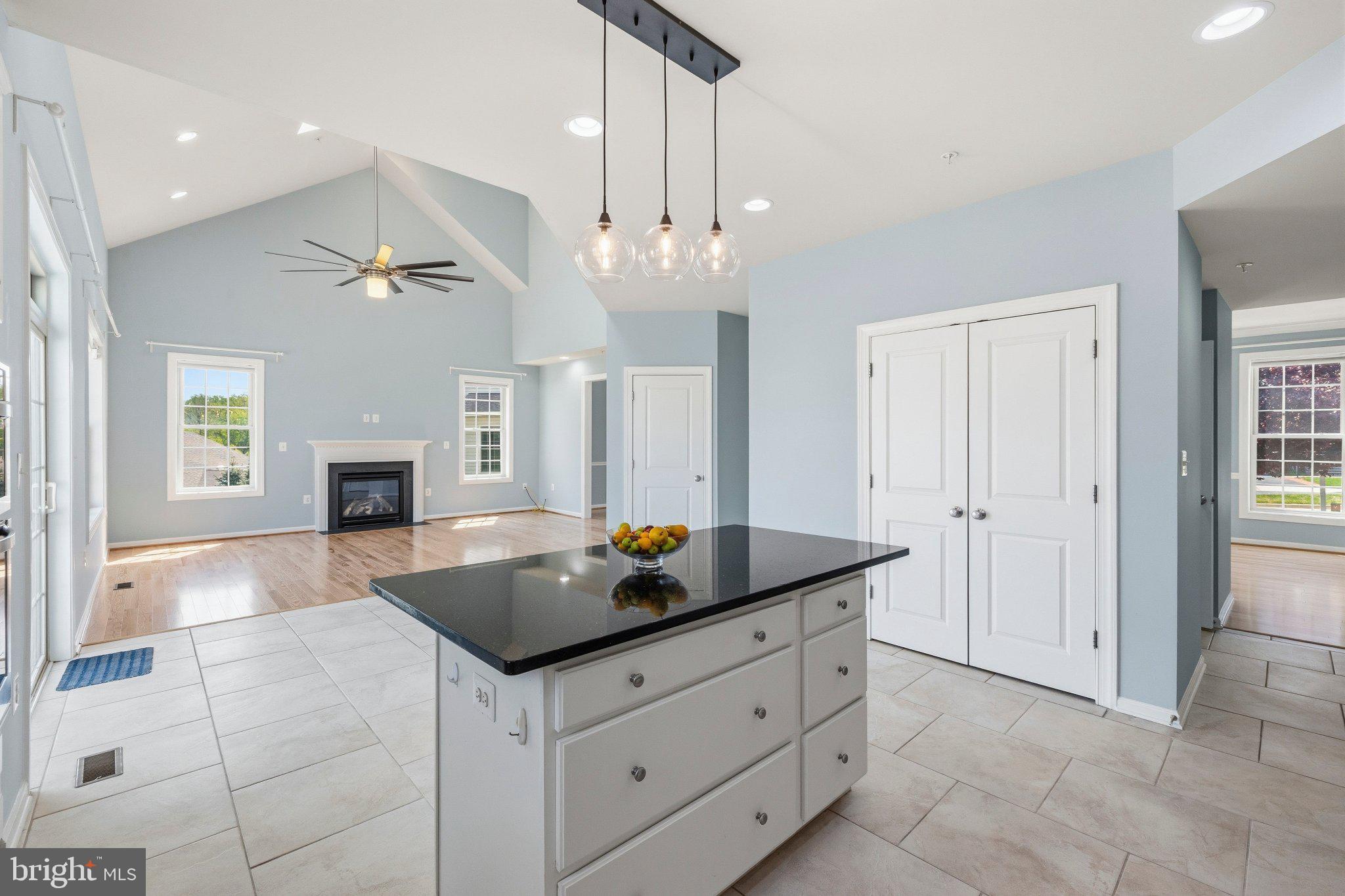 1105 Verbena Court Silver Spring, MD 20906 - Photo 11 of 78 Bright and airy open-concept space.