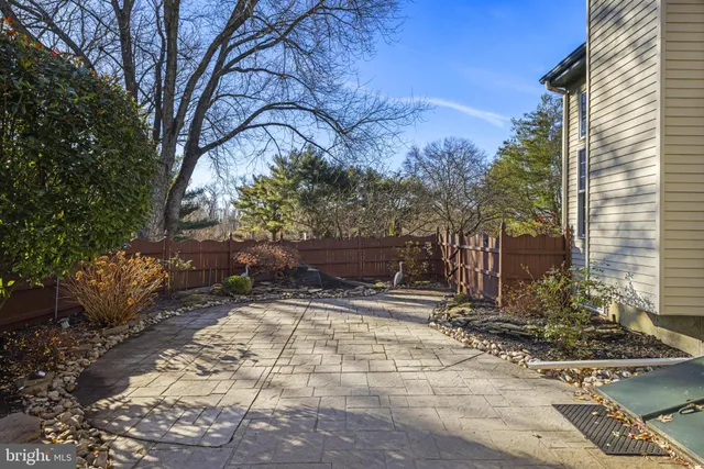 a view of a yard with plants and trees