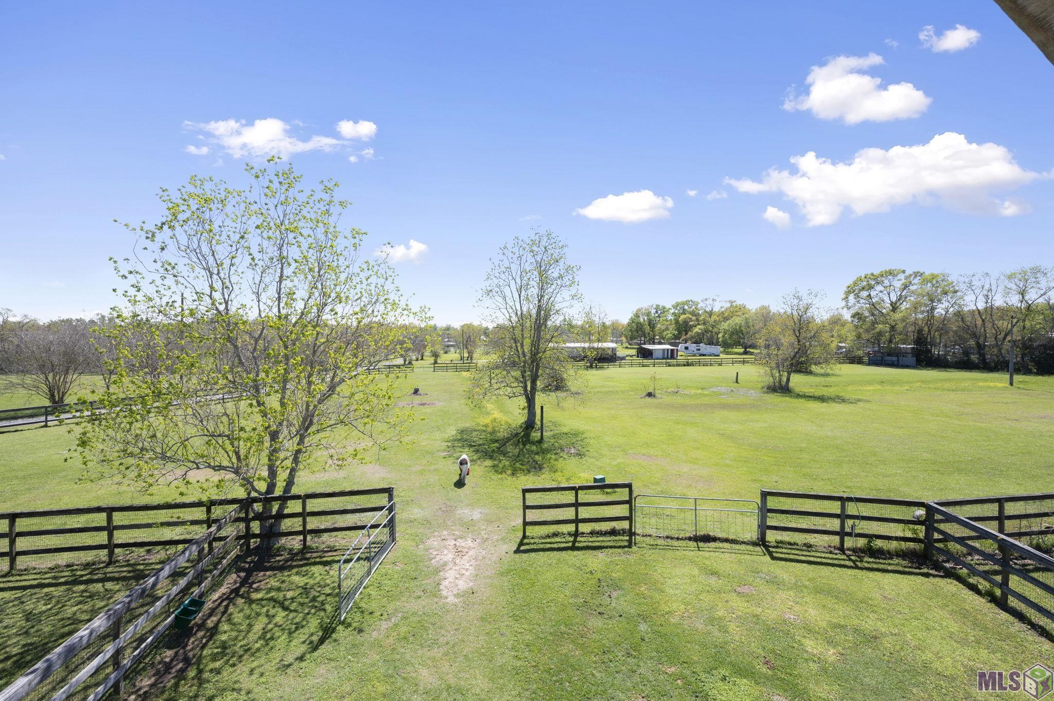 41082 Millie Road Gonzales, LA 70737 - Photo 34 of 45