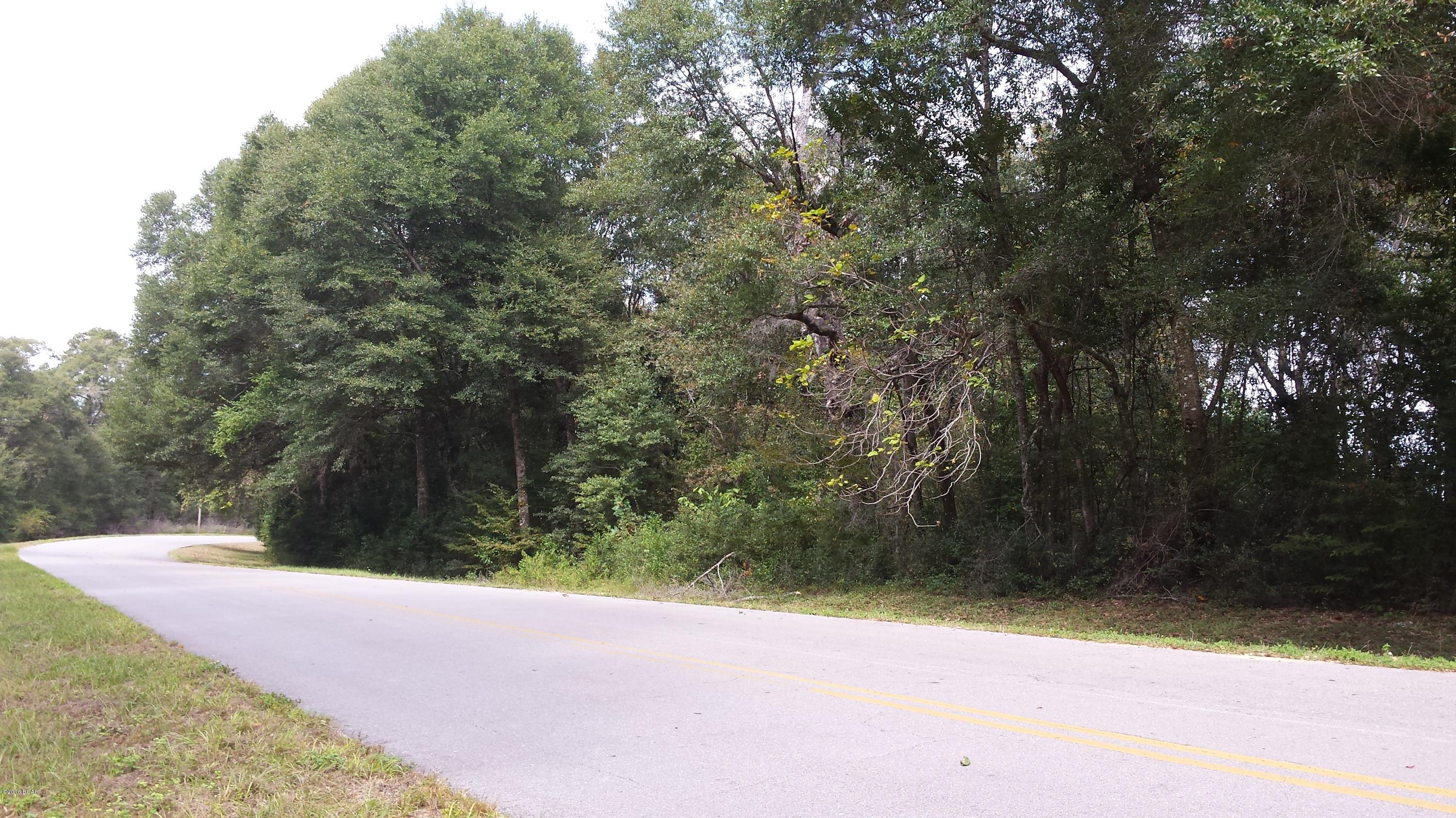 3521 Fanning Branch Road Vernon, FL 32462 - Photo 2 of 9 Gallery Image 2