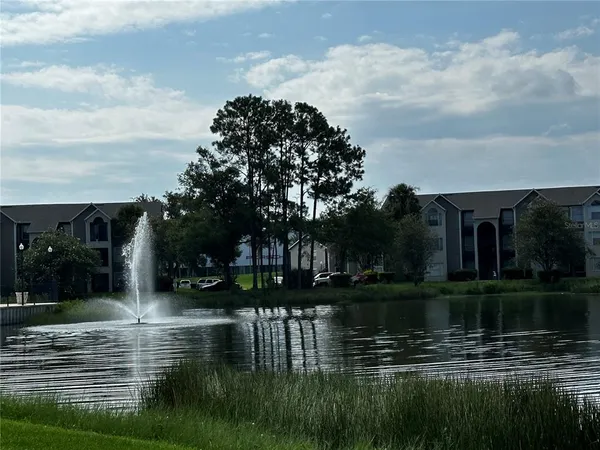 a lake view with plants and trees in front of it