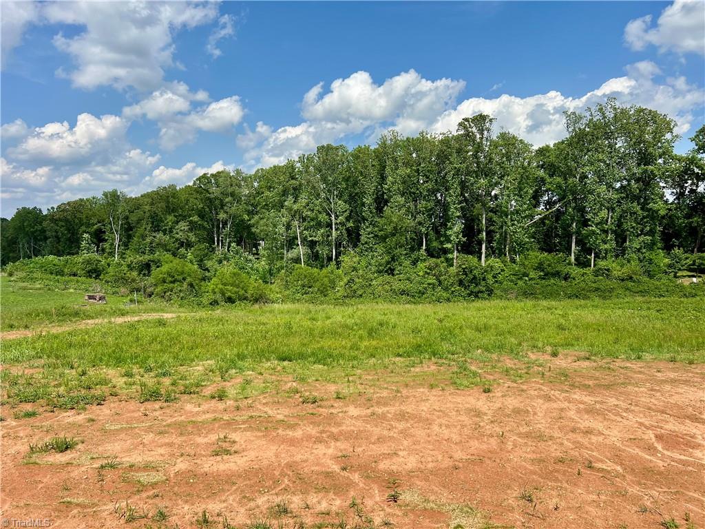 188 Trivette Road Harmony, NC 28634 - Photo 23 of 24 back yard