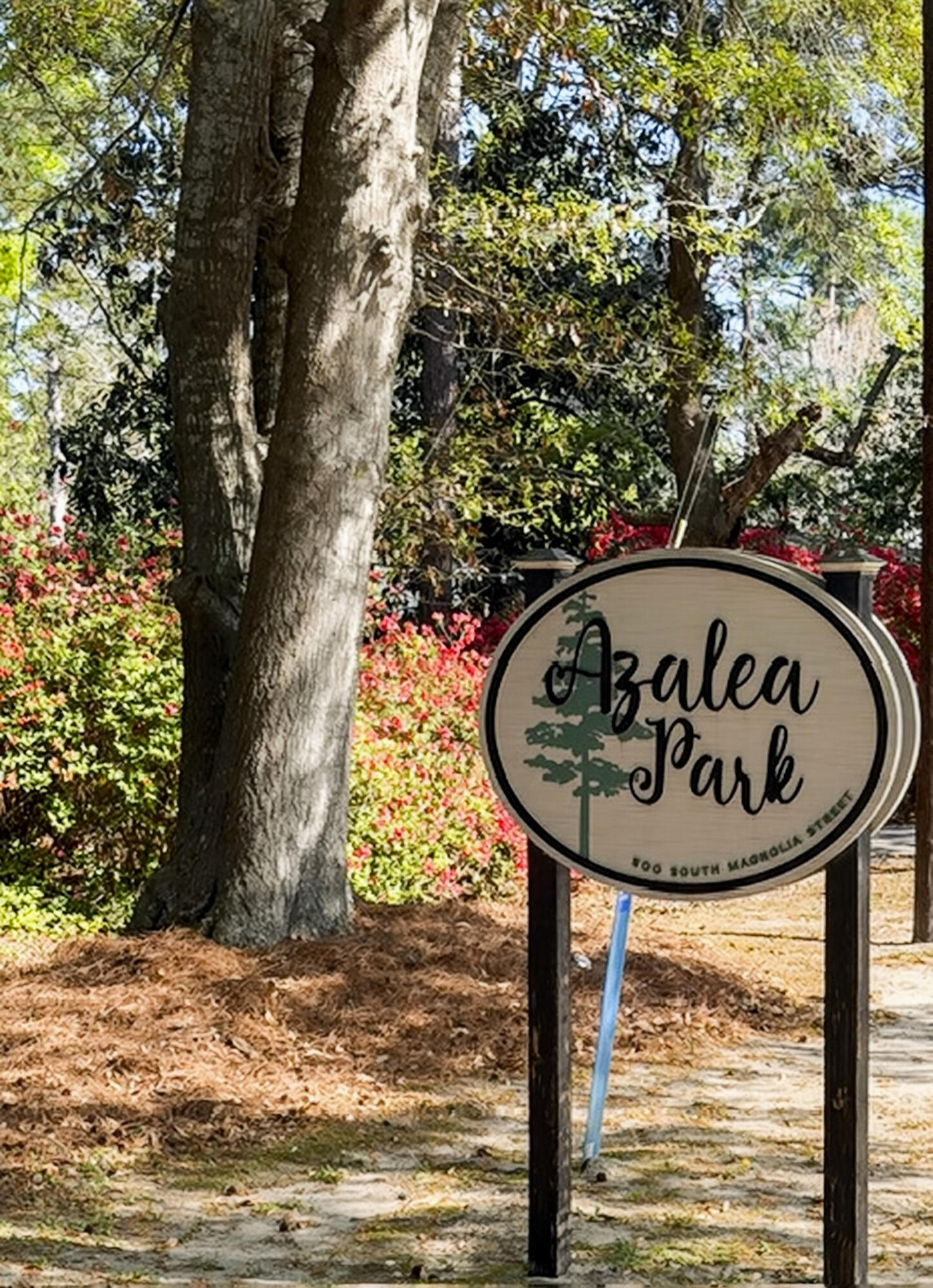 113 Tea Farm Road Summerville, SC 29483 - Photo 93 of 98 Gallery Image 93