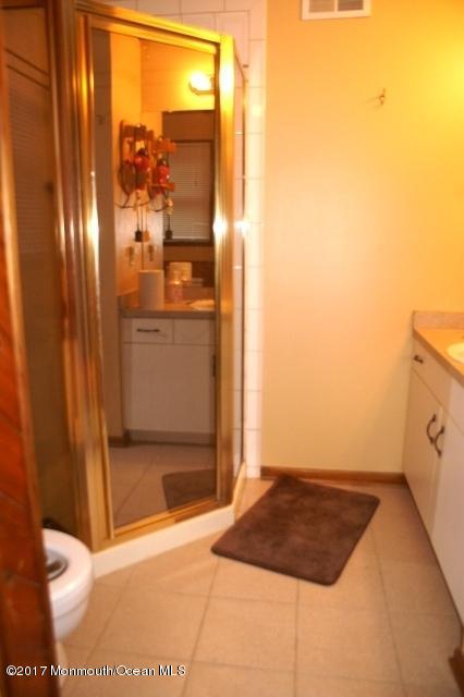 129 Frank Applegate Road Jackson, NJ 08527 - Photo 17 of 28 a bathroom with a shower