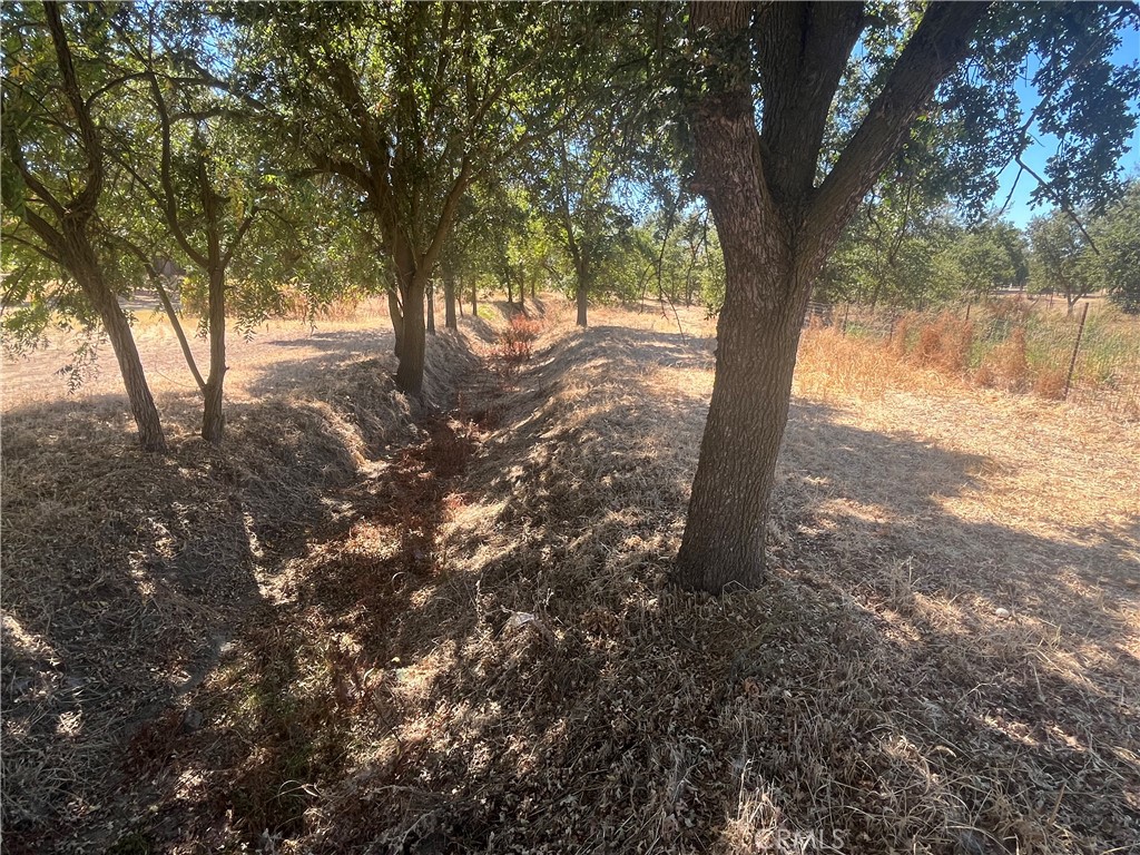 9835 Harvey Road Galt, CA 95632 - Photo 13 of 21 Gallery Image 13