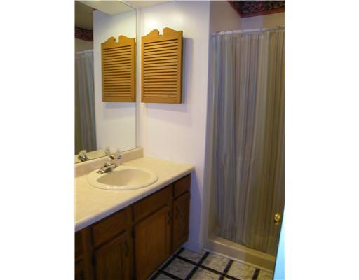 112 Spring Run Drive Monroeville, PA 15146 - Photo 11 of 18 Master Bath/Spa.