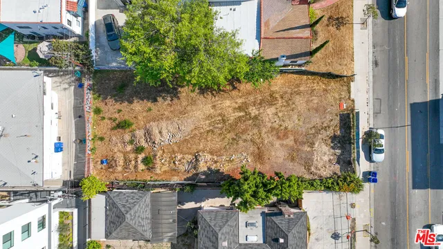 a flower plants with wooden fence