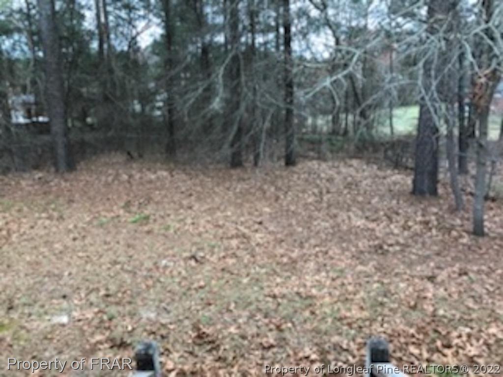 6548 Applewhite Road Fayetteville, NC 28304 - Photo 10 of 10 a view of a dry yard with trees