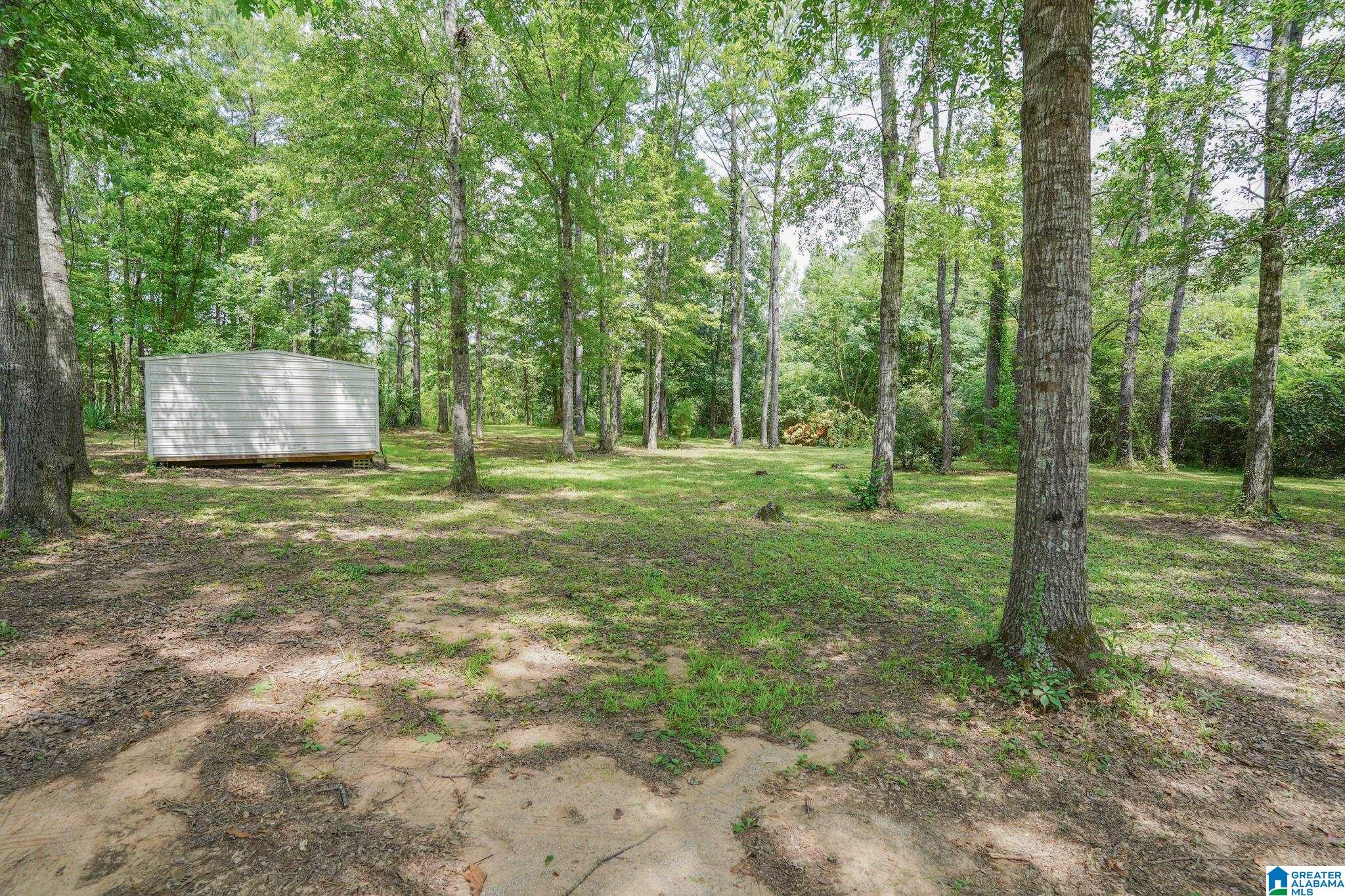 55 County Road 1015 Montevallo, AL 35115 - Photo 6 of 28