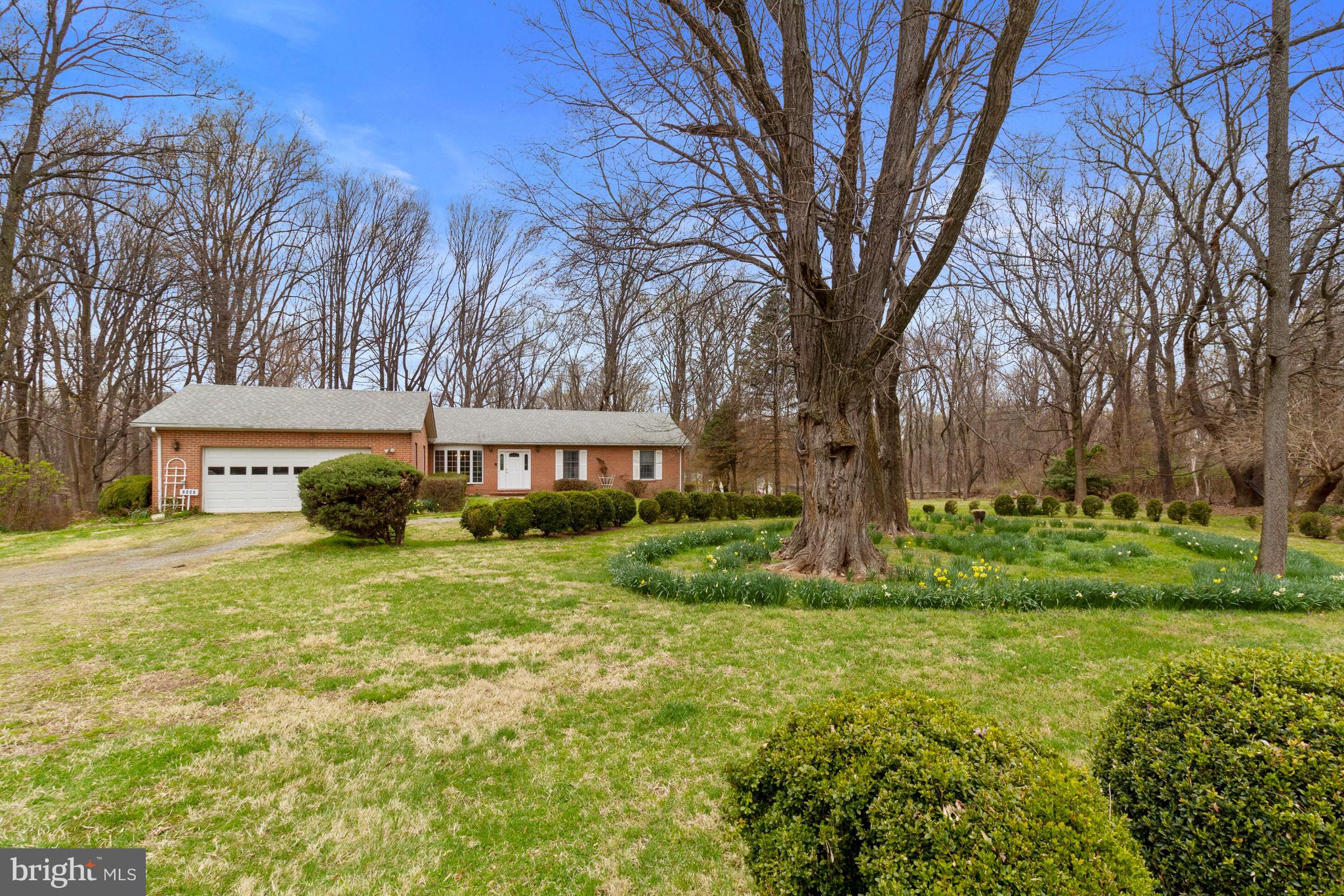 2647 Norbeck Road Silver Spring, MD 20906 - Photo 9 of 60 2647 Norbeck Road, Silver Spring