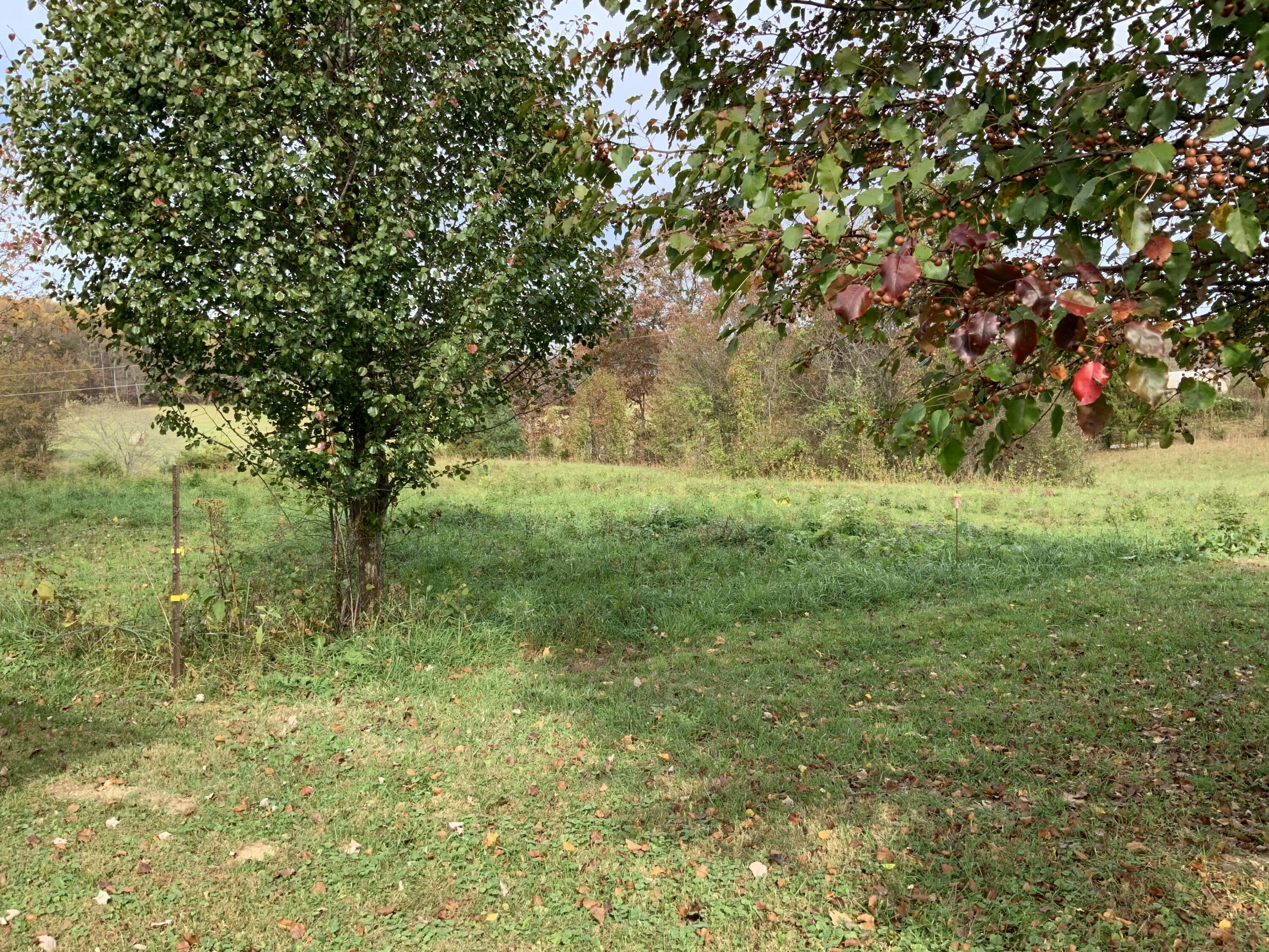 1035 East Todd Road Science Hill, KY 42553 - Photo 15 of 27 IMG_1691