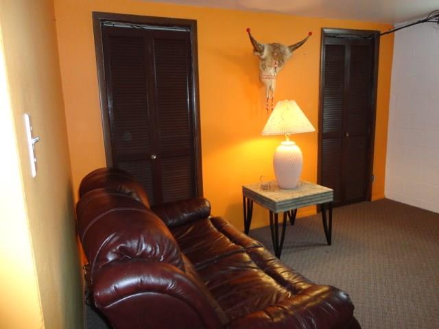 243 Barbara Drive McKees Rocks, PA 15136 - Photo 15 of 16 Gameroom