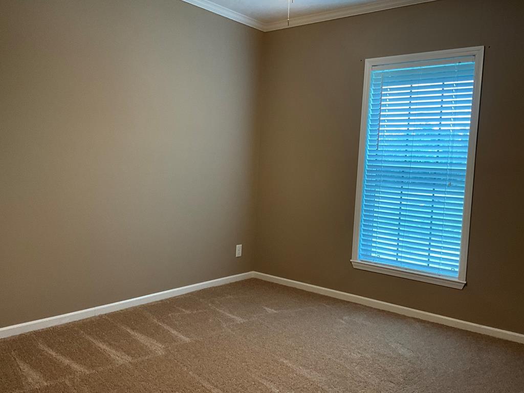 269 Rangeland Road Blanco, TX 78606 - Photo 14 of 43