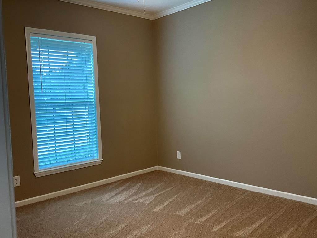 269 Rangeland Road Blanco, TX 78606 - Photo 15 of 43