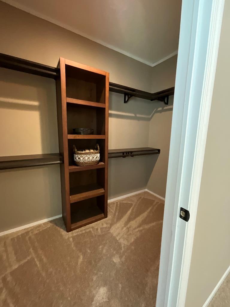 269 Rangeland Road Blanco, TX 78606 - Photo 21 of 43