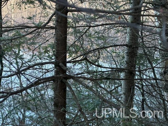 11812 East Howen Road Long Lake, WI 54542 - Photo 18 of 20