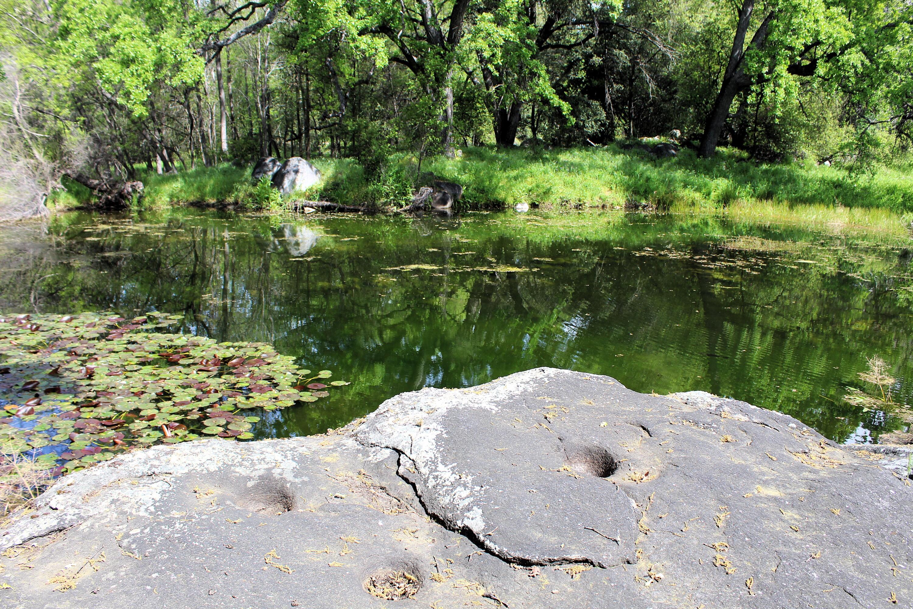 43670 Balch Park Road Springville, CA 93265 - Photo 2 of 43 Rock Formations by the Pond