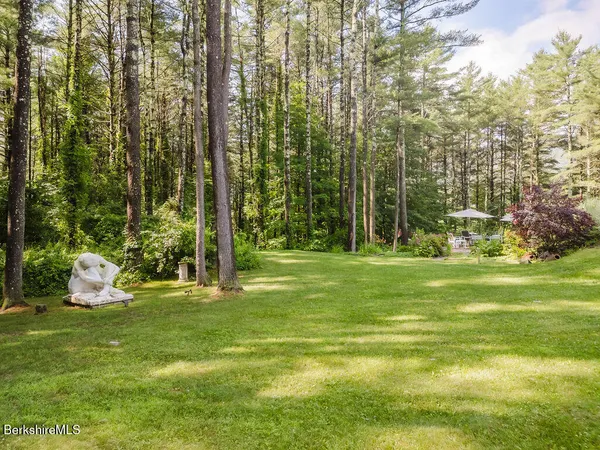 a view of a backyard with plants and a patio