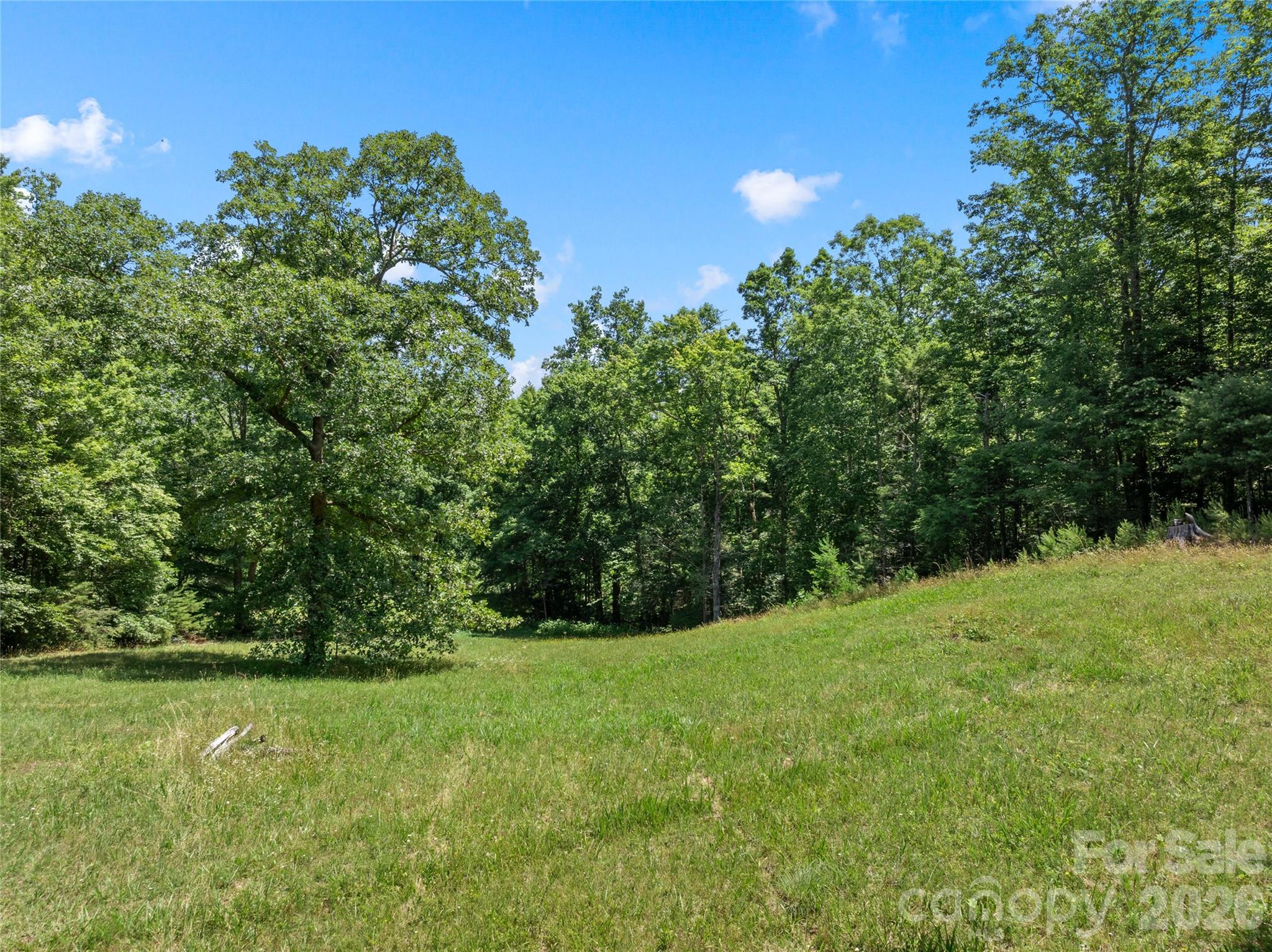 563 Burgess Road Mill Spring, NC 28756 - Photo 26 of 43
