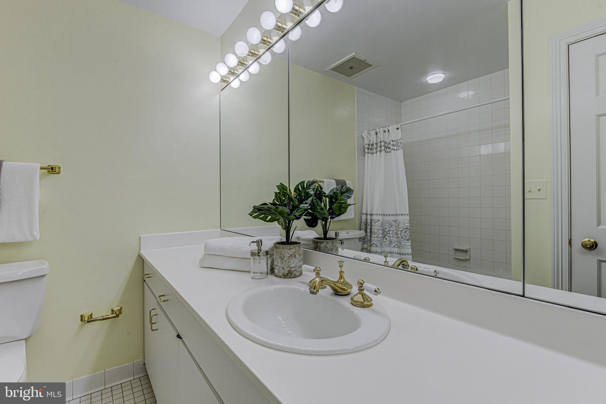 10 East Lee Street, Unit 1208 Baltimore, MD 21202 - Photo 30 of 43 Bathroom