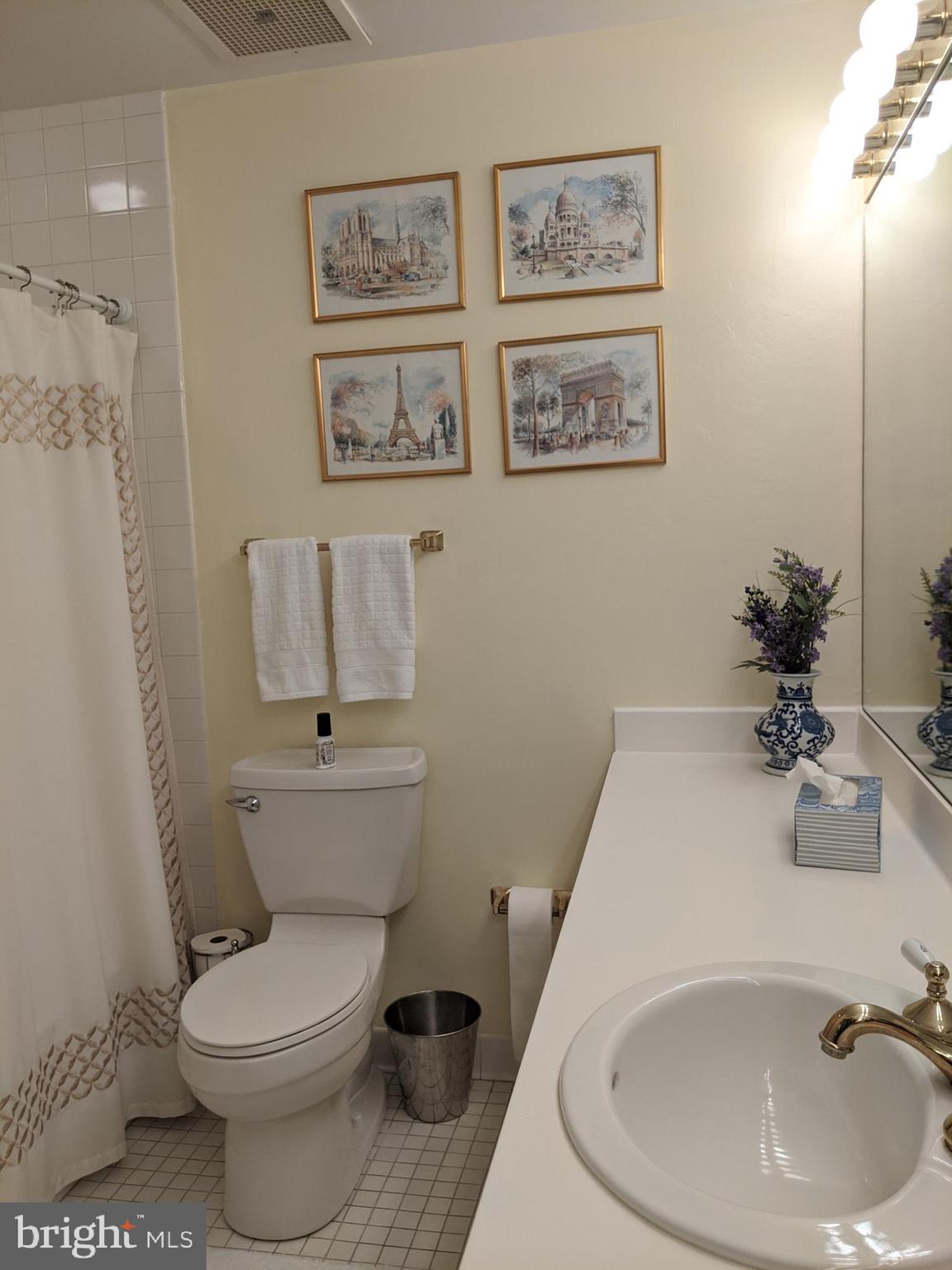 10 East Lee Street, Unit 1208 Baltimore, MD 21202 - Photo 31 of 43 Guest Bathroom