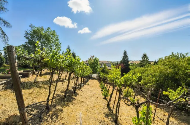 $1,250,000 | 5132 Thalia Drive, El Dorado Hills, CA 95762