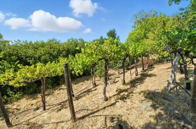 $1,250,000 | 5132 Thalia Drive, El Dorado Hills, CA 95762