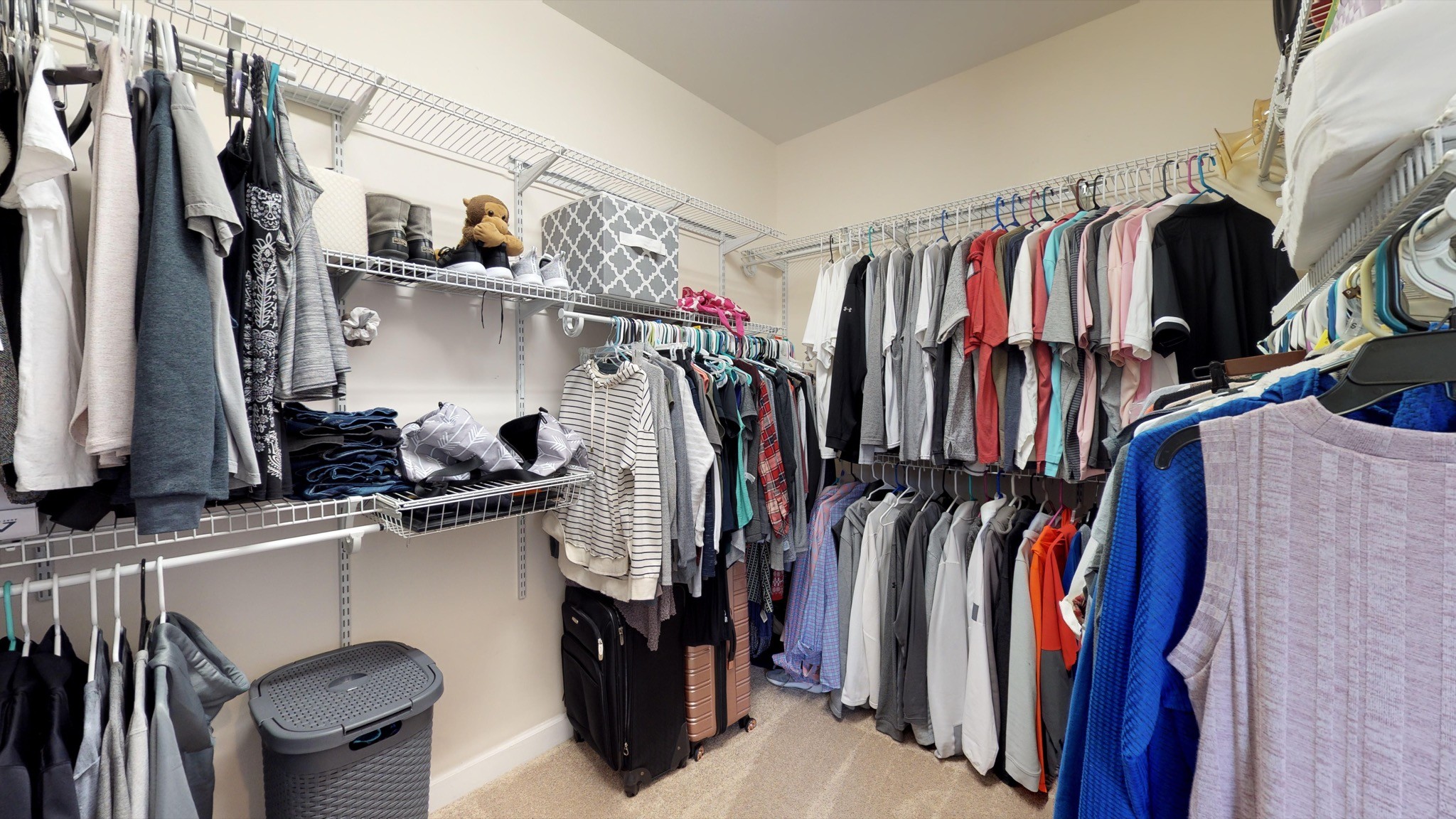 7450 Delbridge Road Murfreesboro, TN 37127 - Photo 38 of 50 a view of walk in closet with clothes and shoes