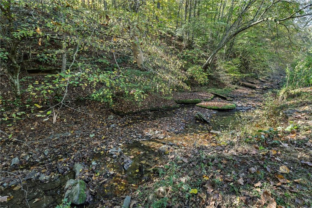476 Hewitt Run Wind Ridge, PA 15380 - Photo 16 of 28 a view of a forest with a tree
