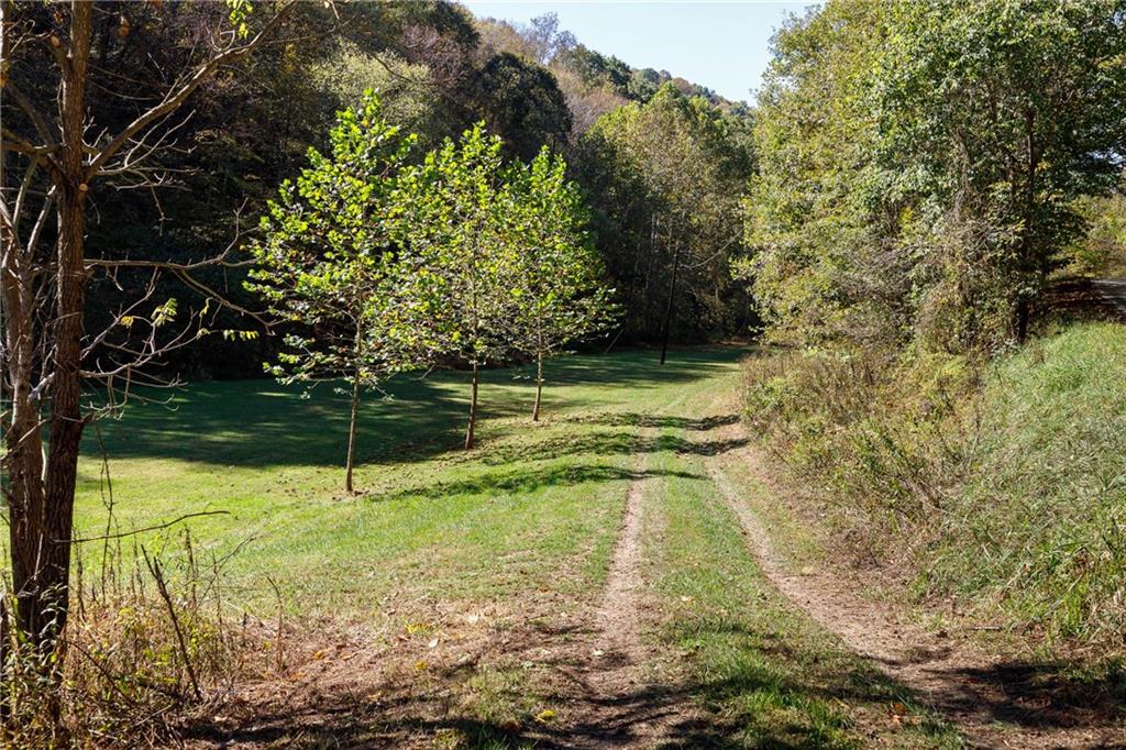 476 Hewitt Run Wind Ridge, PA 15380 - Photo 19 of 28 a view of a yard