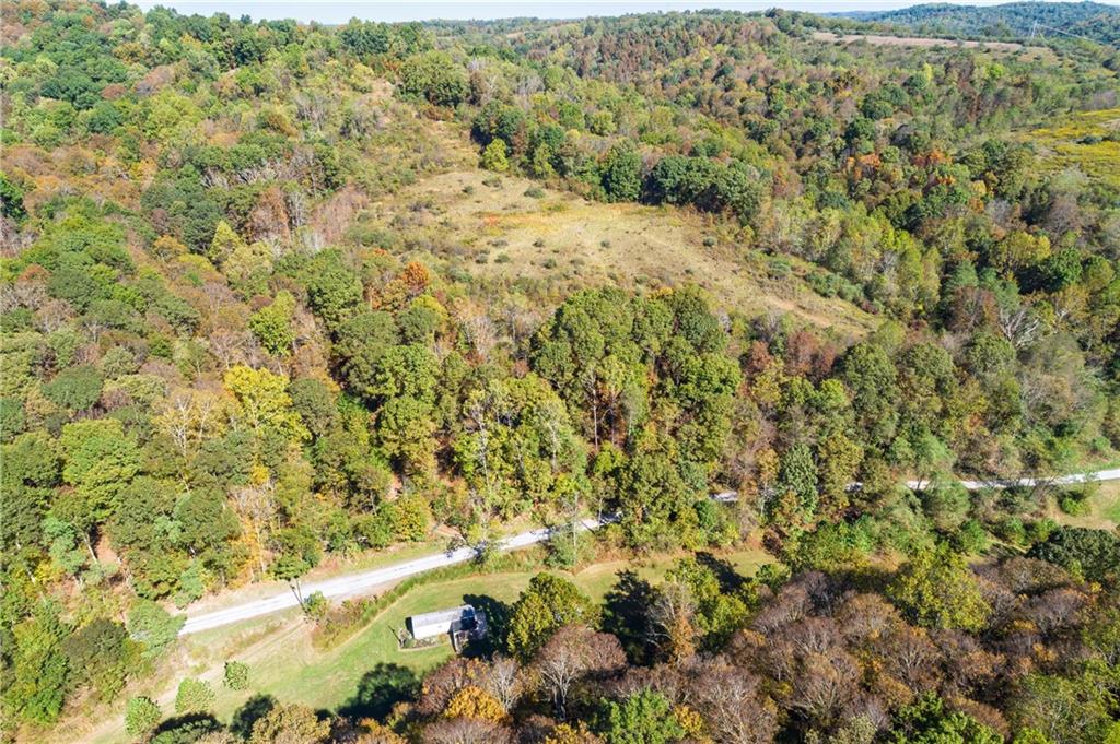 476 Hewitt Run Wind Ridge, PA 15380 - Photo 21 of 28 a view of a yard with a plant