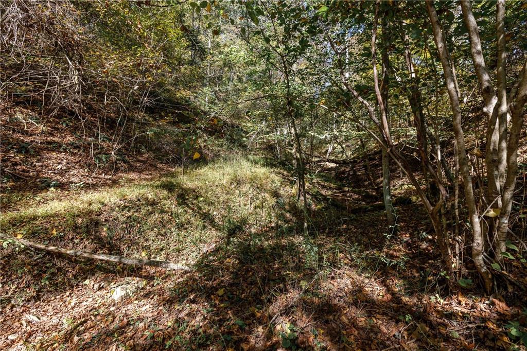 476 Hewitt Run Wind Ridge, PA 15380 - Photo 28 of 28 a view of a tree