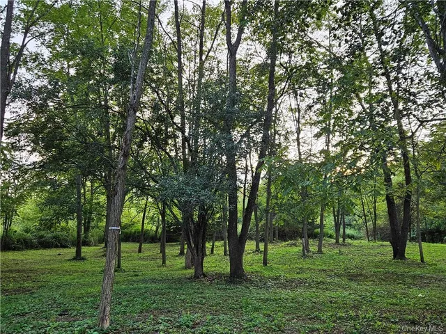 a view of grassy field with benches