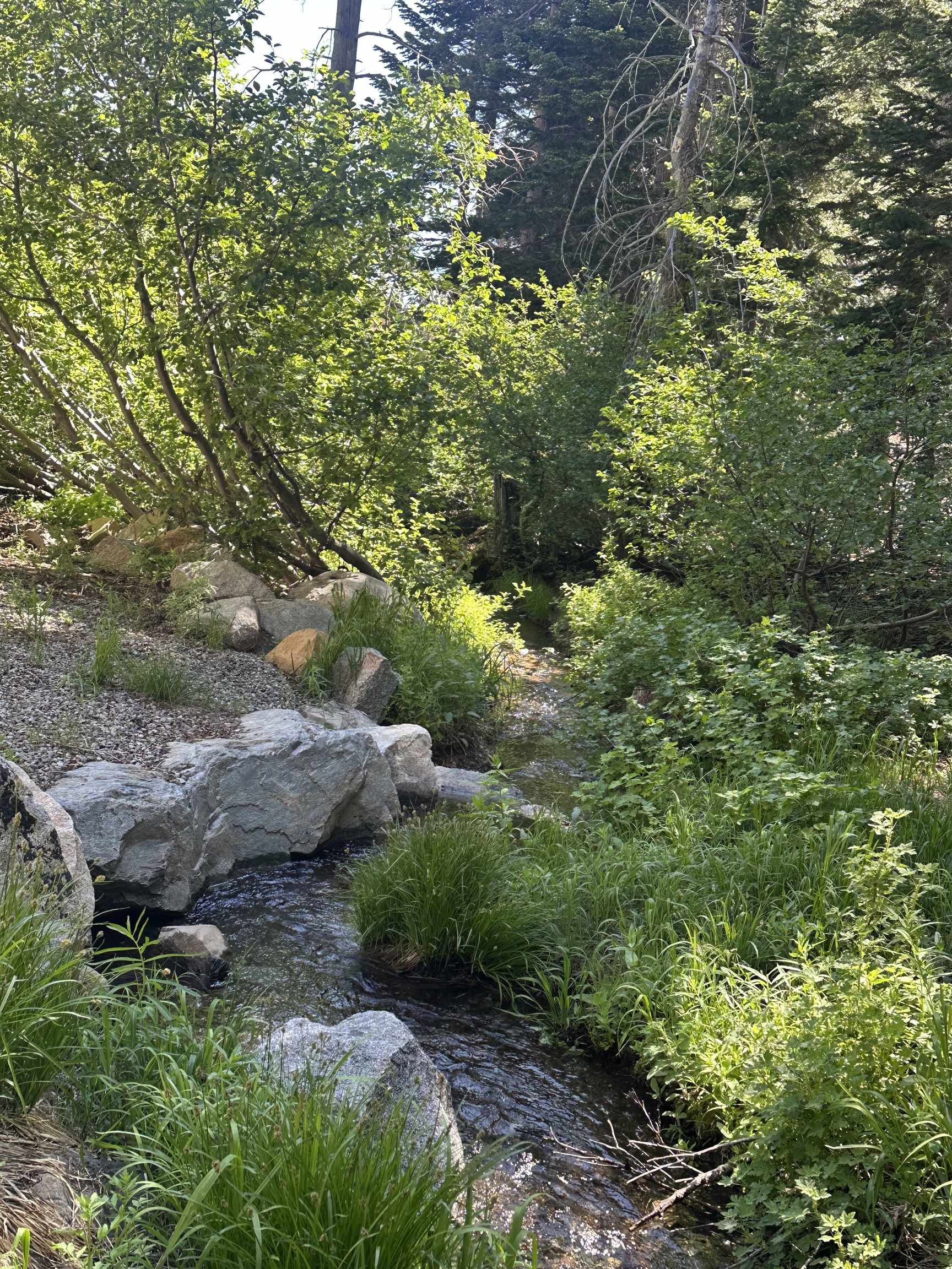 2281 Old Mammoth Road Mammoth Lakes, CA 93546 - Photo 8 of 27