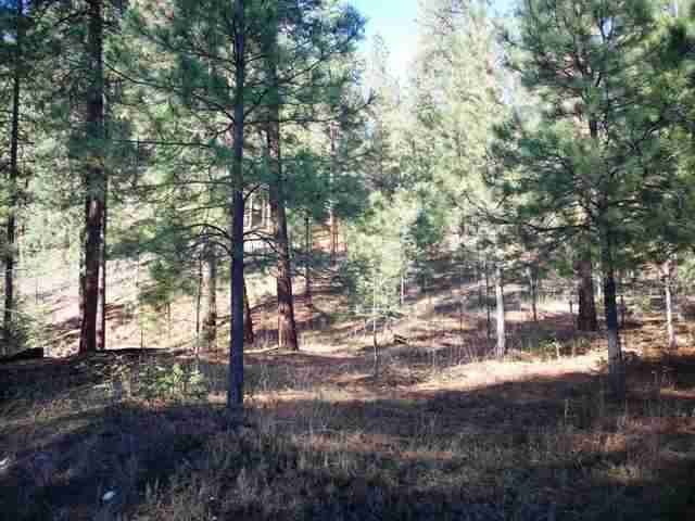 Xx Little Boulder Creek Road Kettle Falls, WA 99141 - Photo 8 of 9 Gallery Image 8
