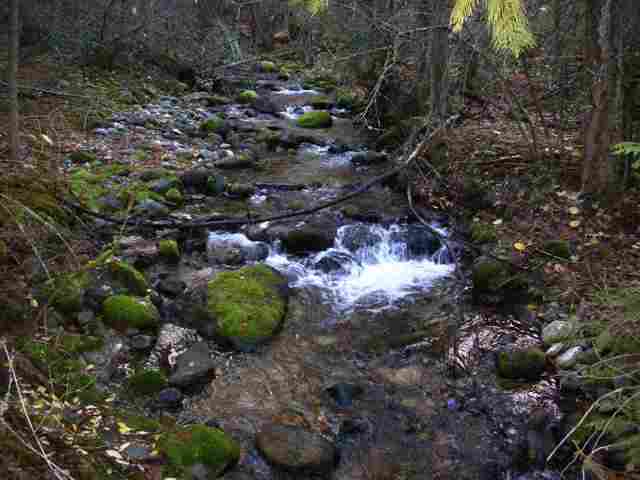 Xx Little Boulder Creek Road Kettle Falls, WA 99141 - Photo 9 of 9 Gallery Image 9