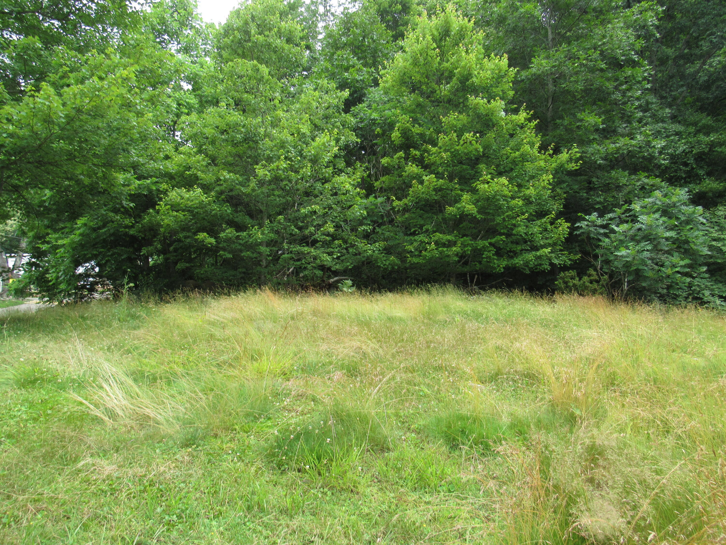 9404 Sock Road Pound, VA 24279 - Photo 50 of 58 IMG_4769