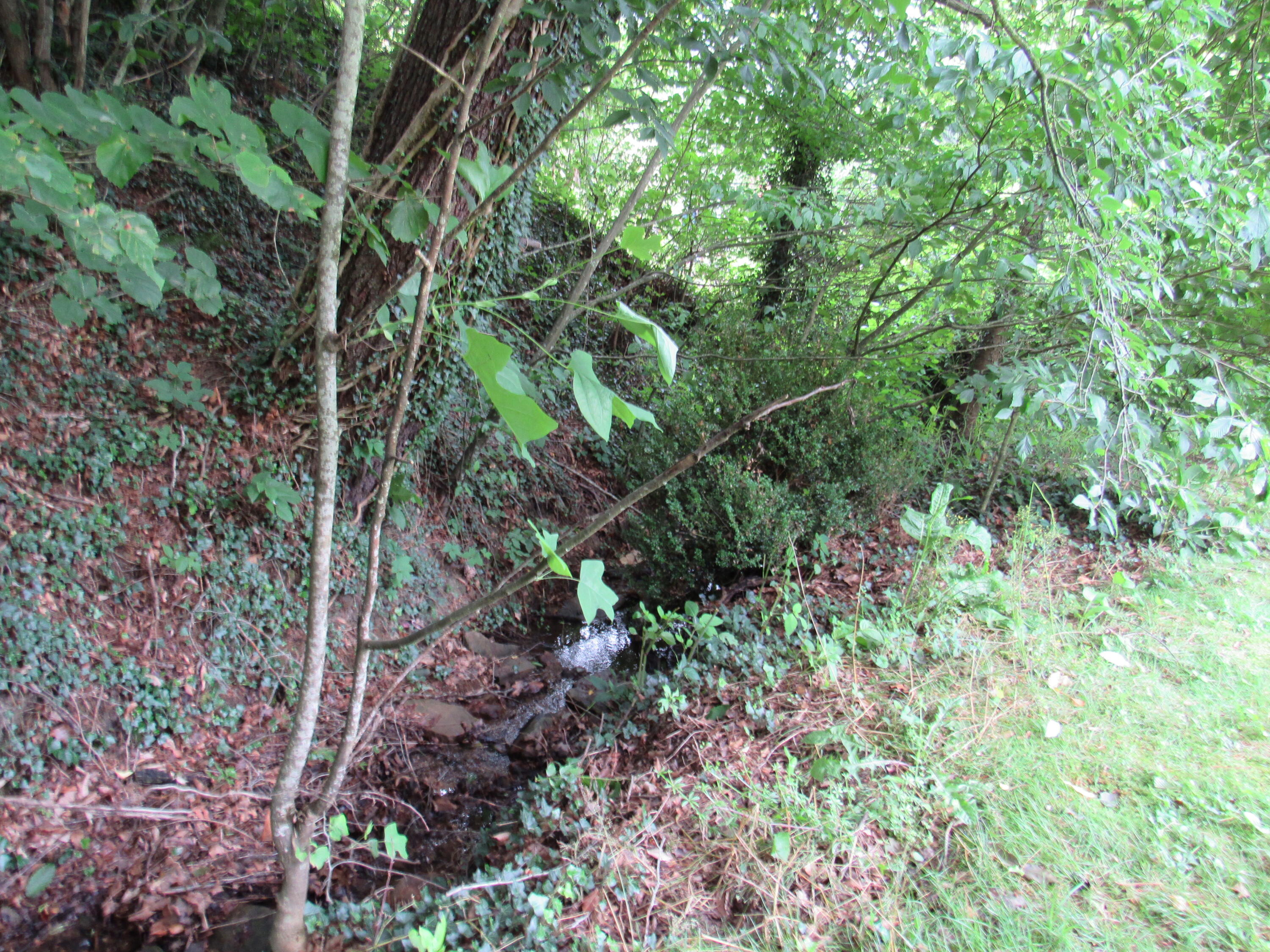 9404 Sock Road Pound, VA 24279 - Photo 57 of 58 IMG_4779